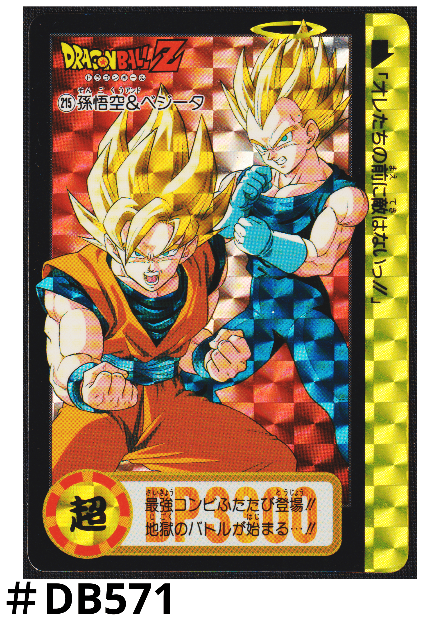 Goku & Vegeta No.215 | Carddass Hondan