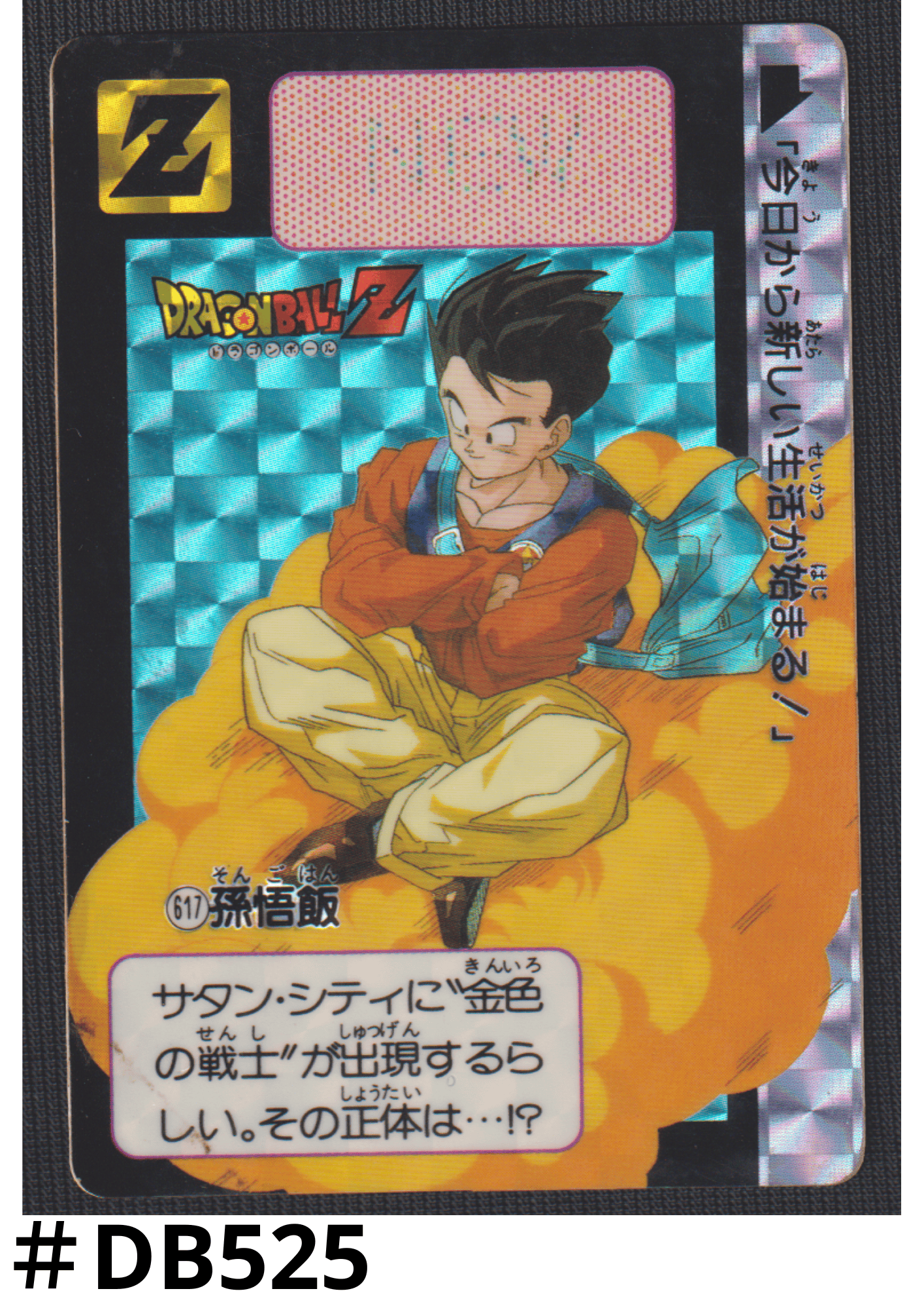 Gohan No.617 | Carddass Hondan