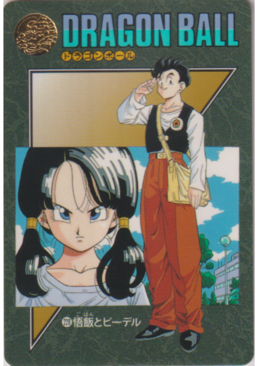 Dragon Ball Visual Adventure : Son Gohan & Videl 228
