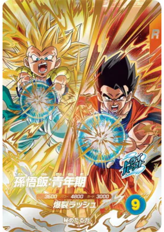 Son Gohan SDV8-PUR2 | Dragon Ball Super Divers