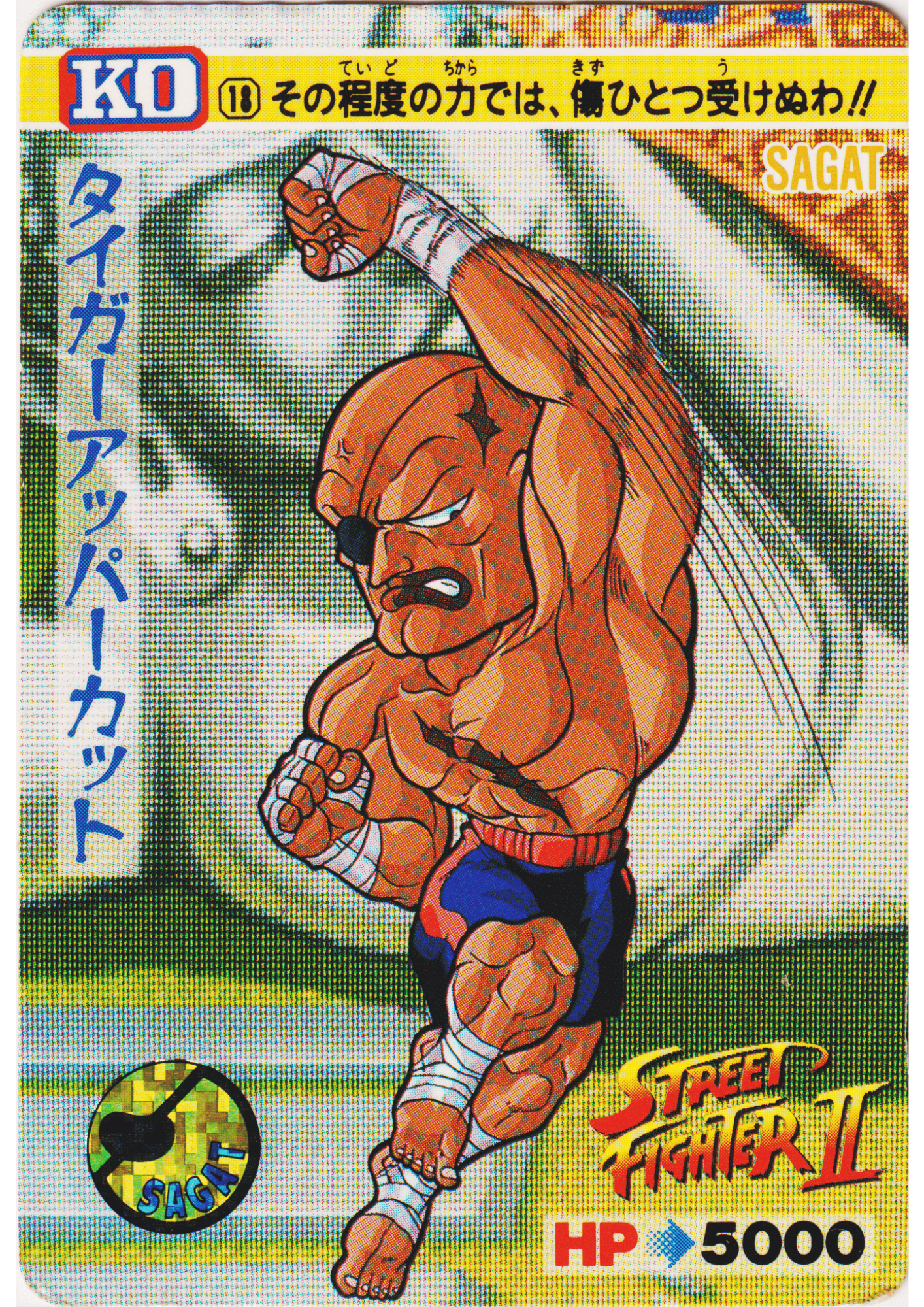 SAGAT 18 |  Carddass Street Fighter II