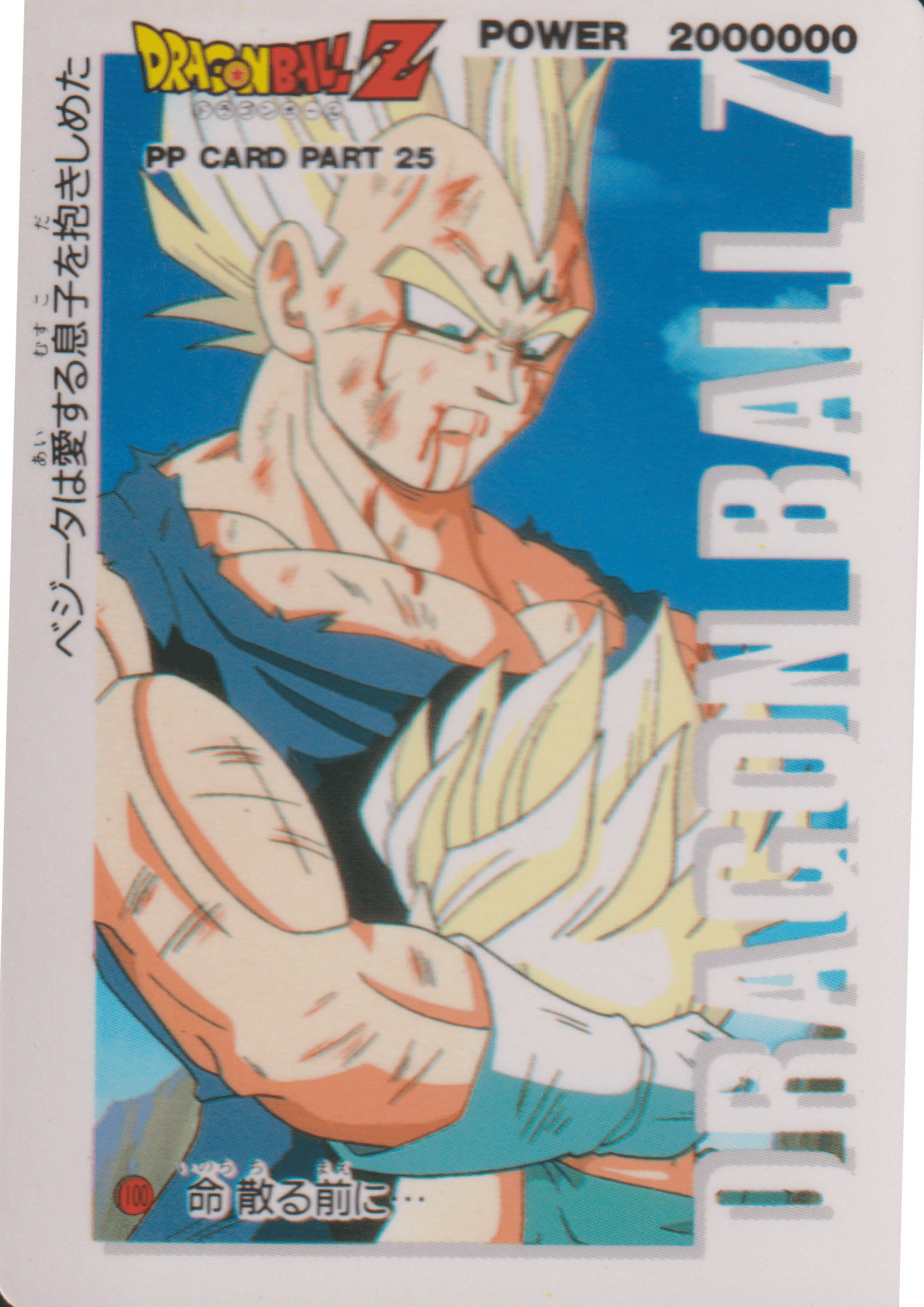 Dragon Ball Amada PP Card: Part 25 - 1100