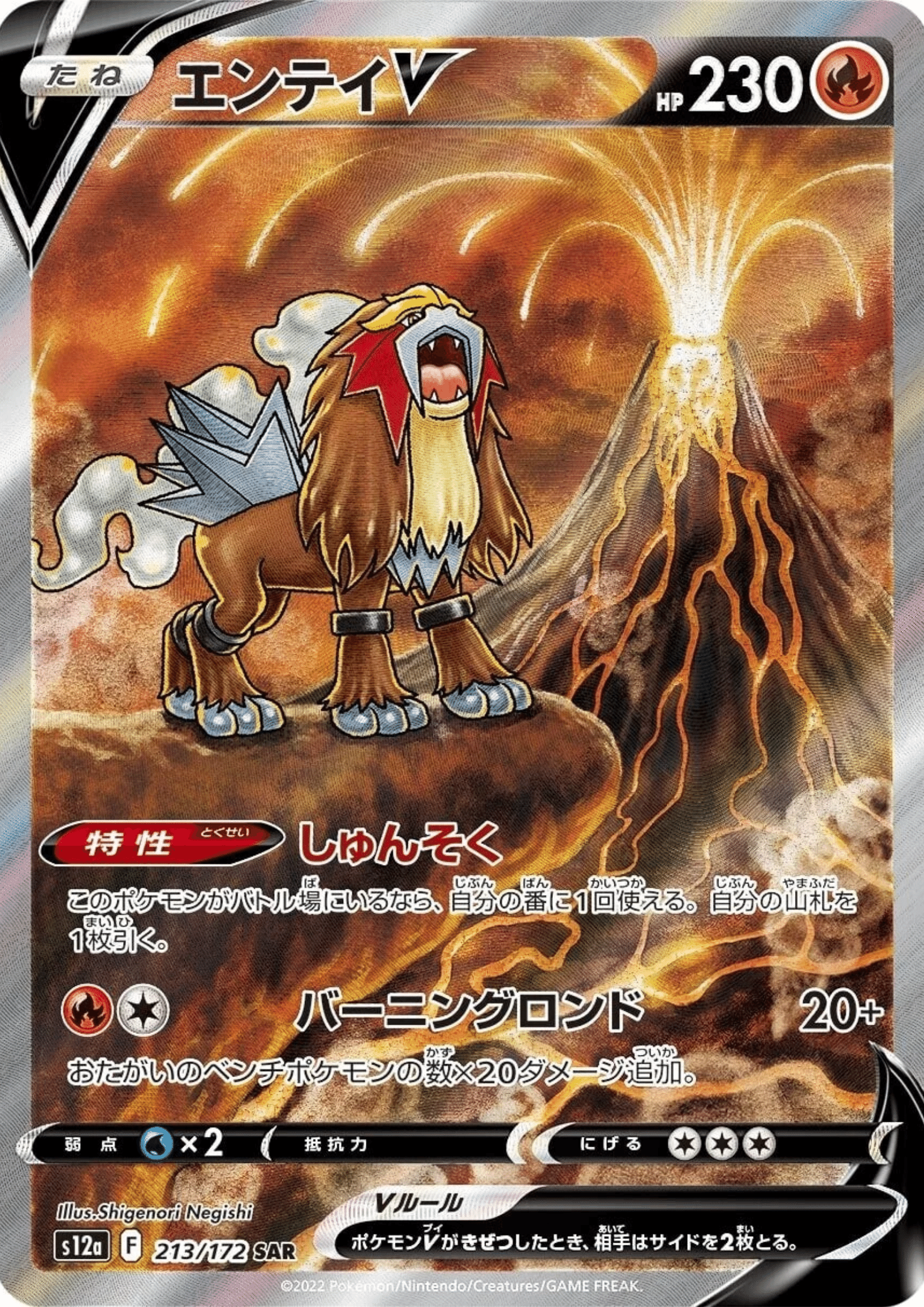 Entei V 213/172 SAR | Pokémon VSTAR Universe s12a ChitoroShop