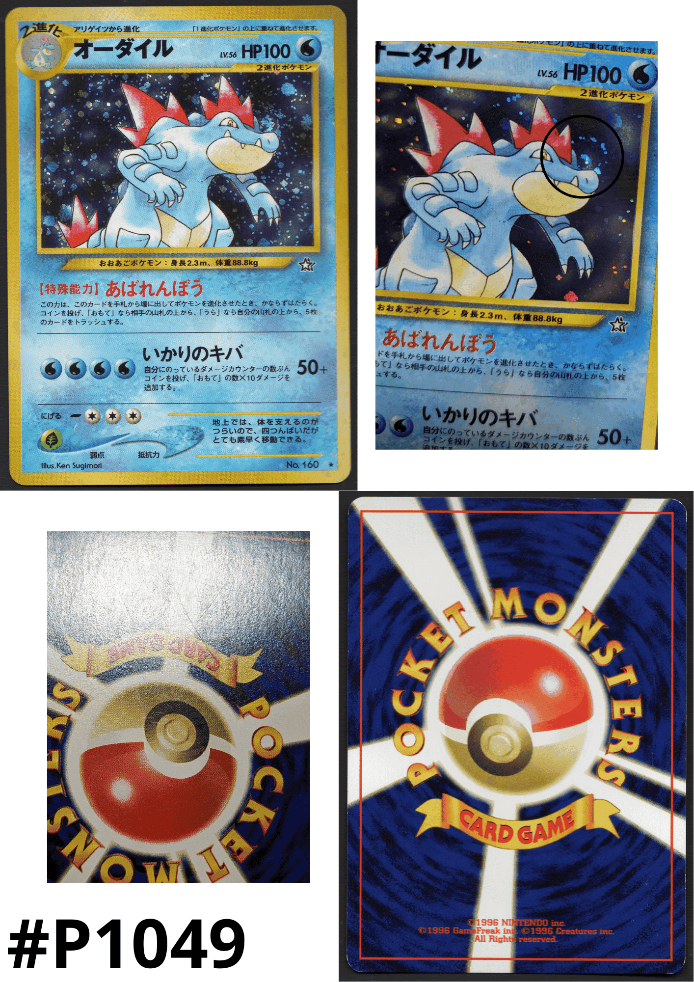 Feraligatr No.160 | Neo genesis ChitoroShop