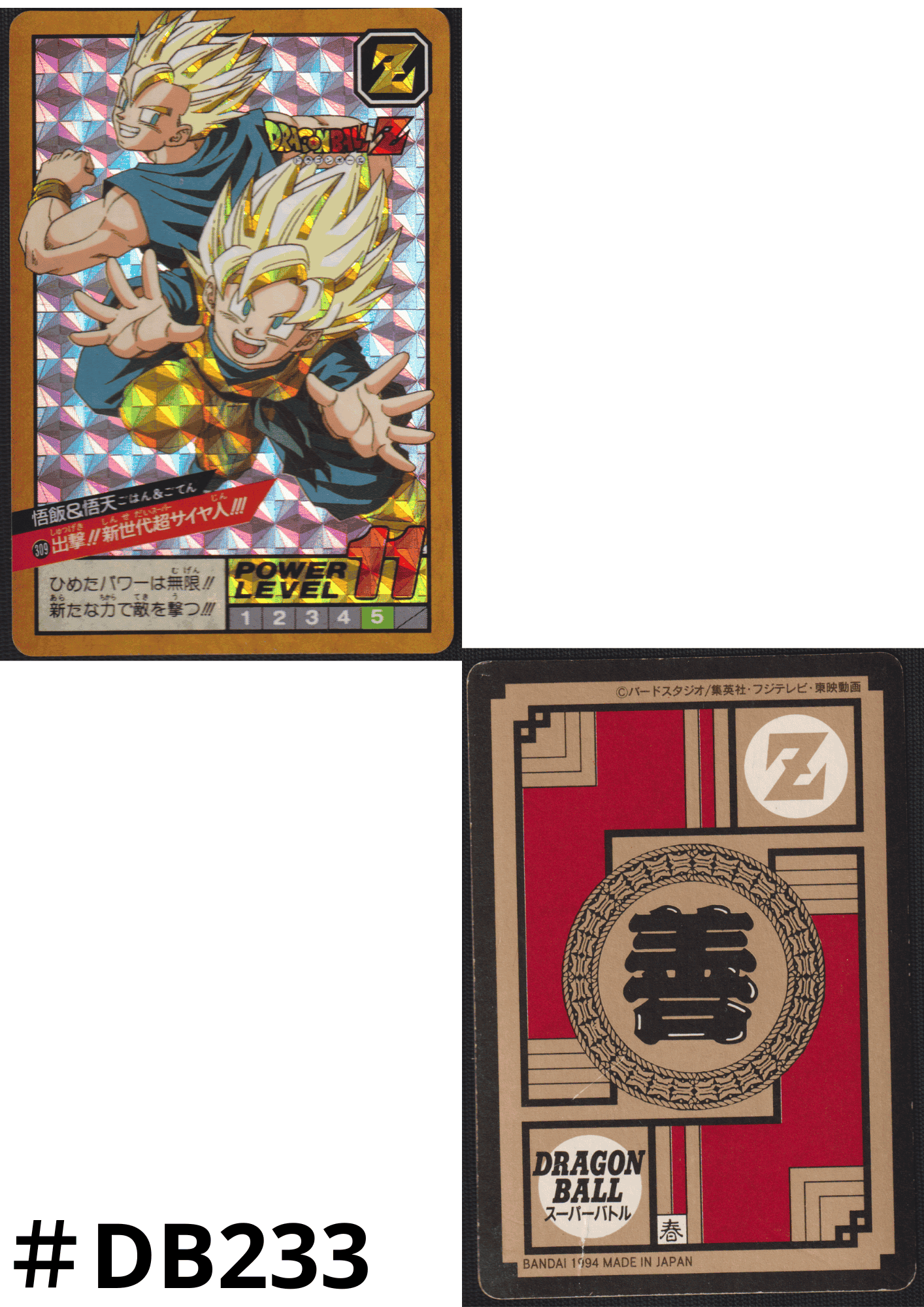 Gohan & Goten No.309 | Carddass Super Battle ChitoroShop