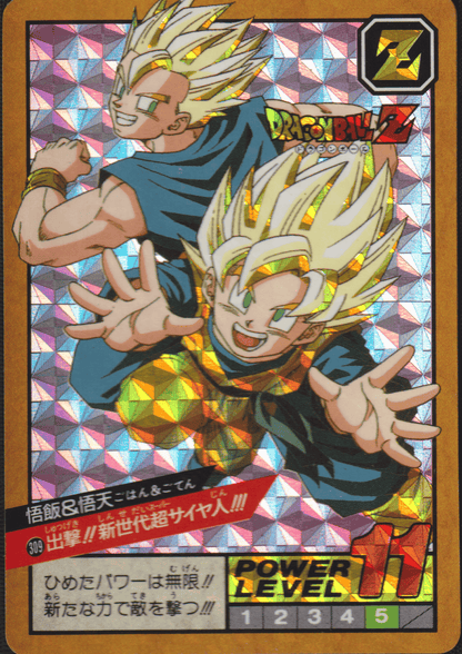 Gohan & Goten No.309 | Carddass Super Battle ChitoroShop