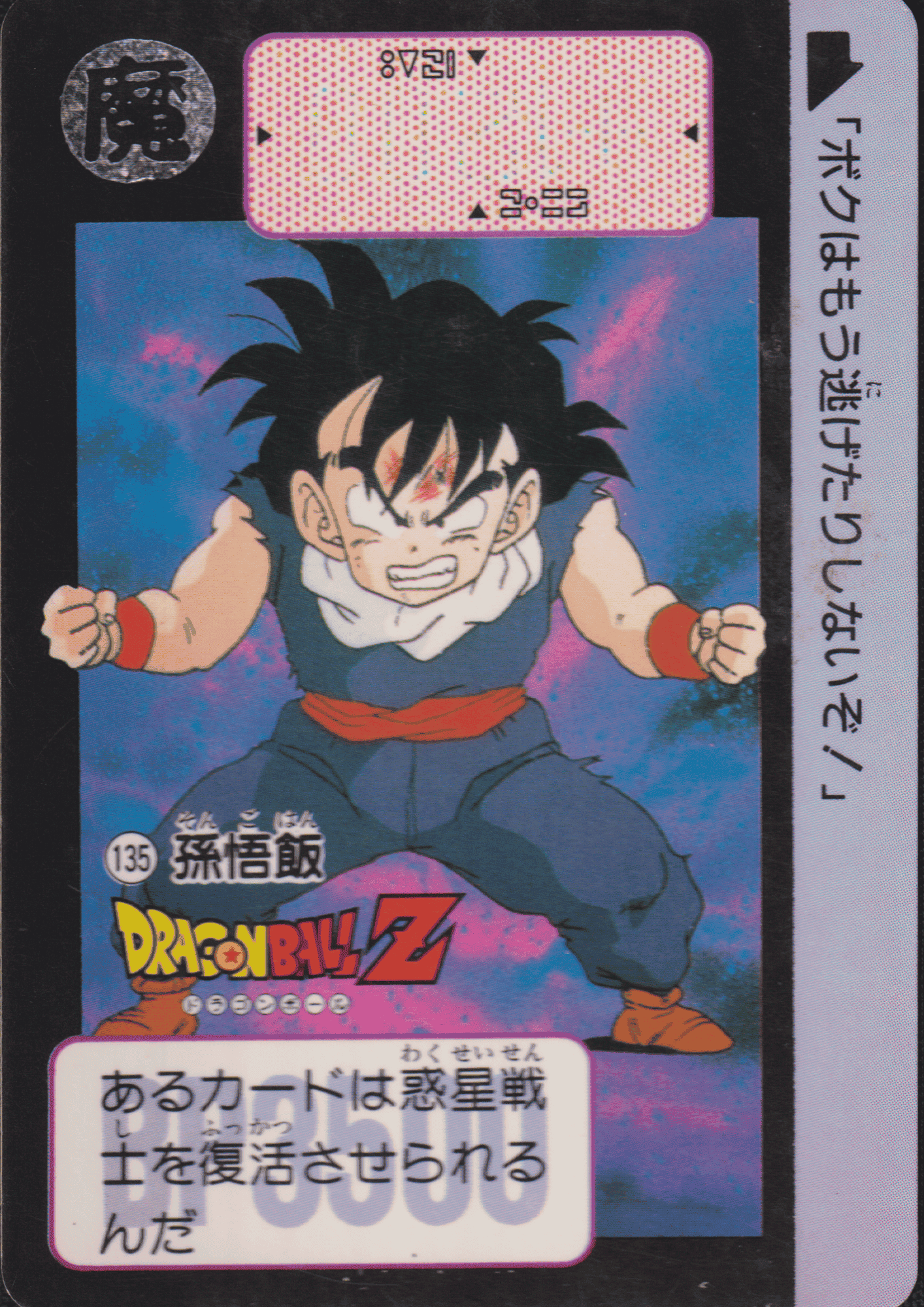 Gohan No.135 | Carddass Hondan ChitoroShop