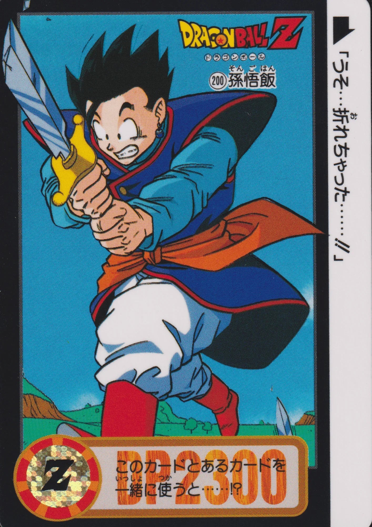 Gohan Nr.200 | Carddass Hondan - ChitoroShop