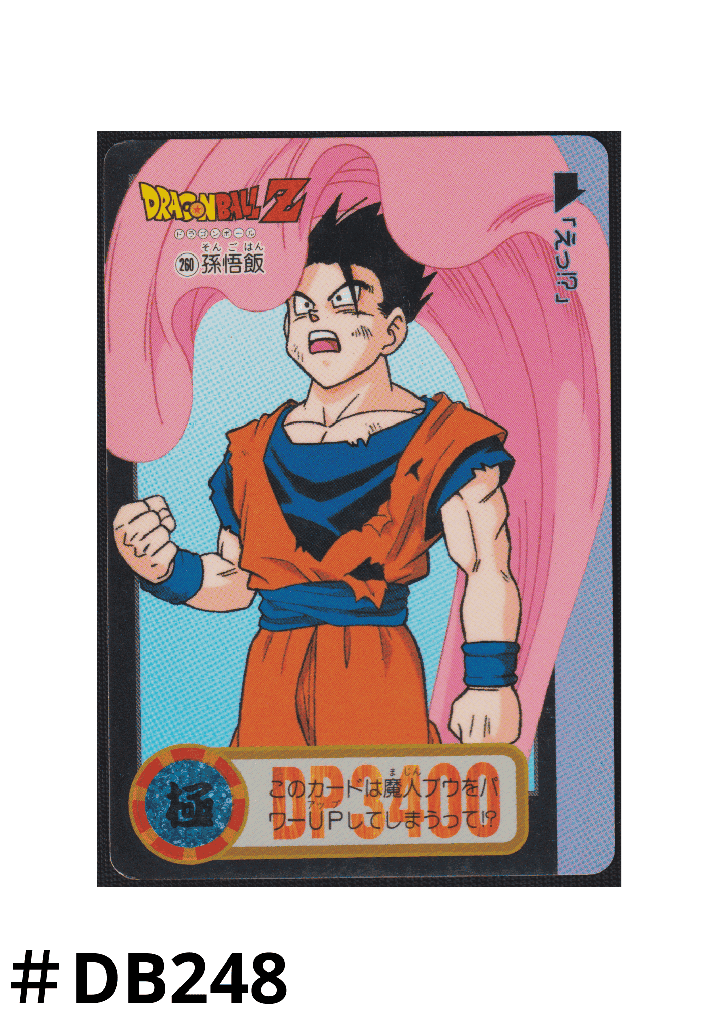 Gohan Nr.260 | Carddass Hondan ChitoroShop