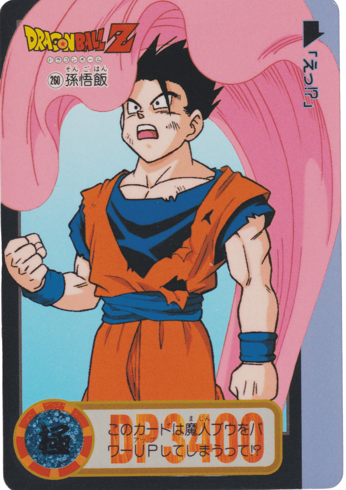 Gohan No.260 | Carddass Hondan ChitoroShop