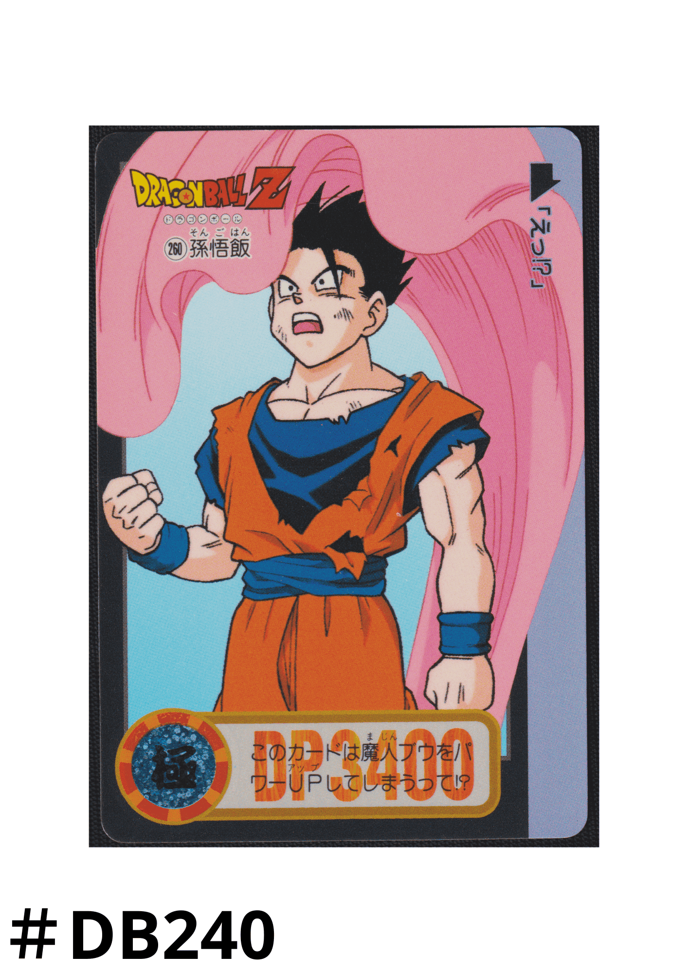 Gohan Nr.260 | Carddass Hondan ChitoroShop