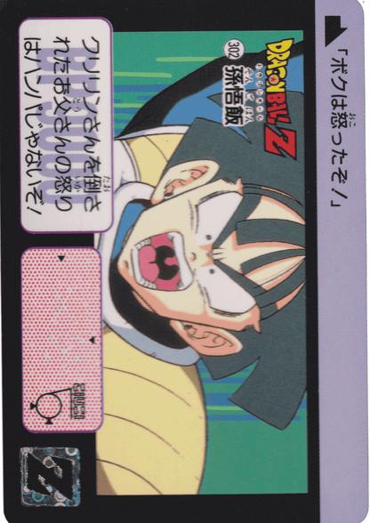 Gohan No.302 | Carddass Hondan ChitoroShop