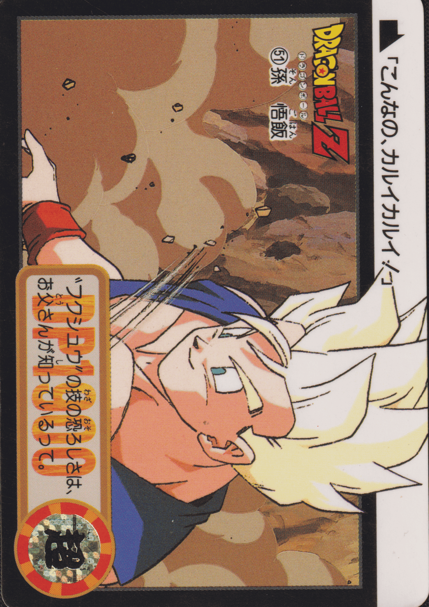 Gohan No.51 | Carddass Hondan ChitoroShop