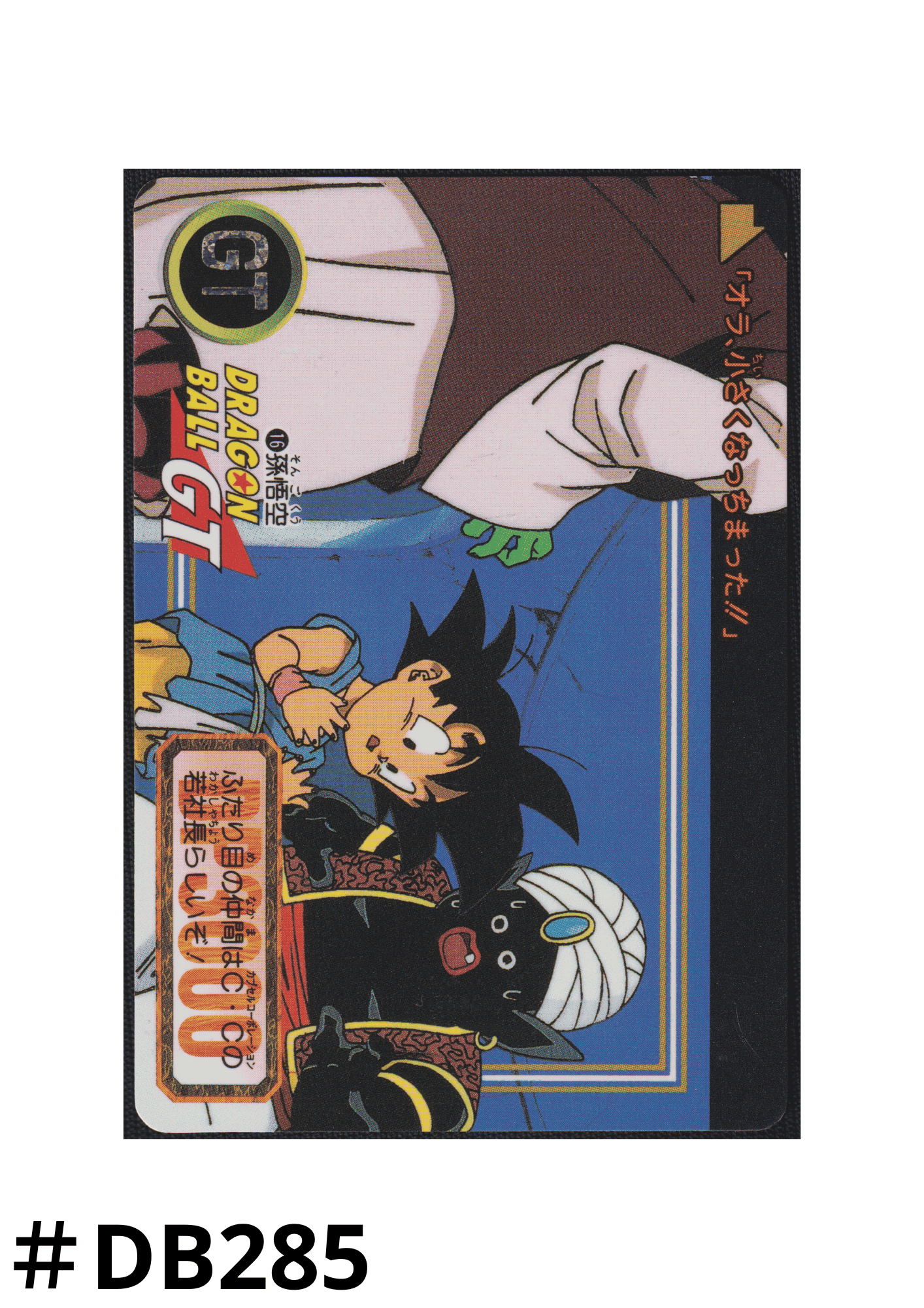 Goku No.16 | Carddass Hondan ChitoroShop