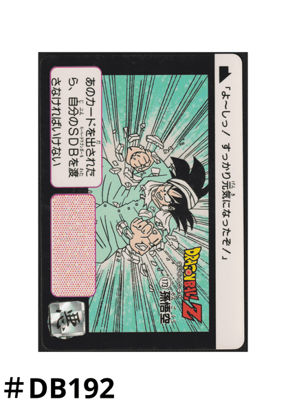 Goku  No.173 | Carddass Hondan ChitoroShop