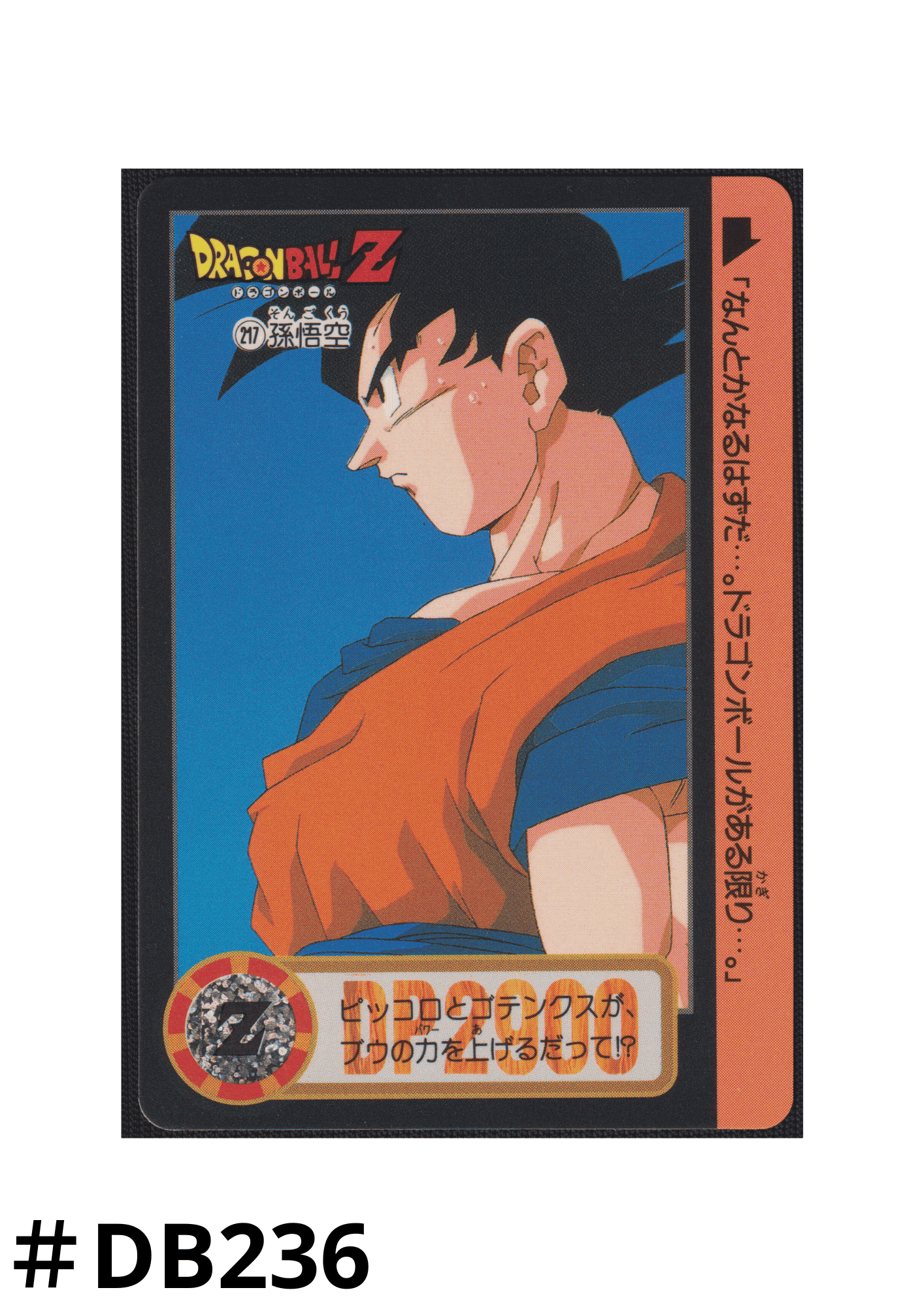 Goku No.217 | Carddass Hondan ChitoroShop