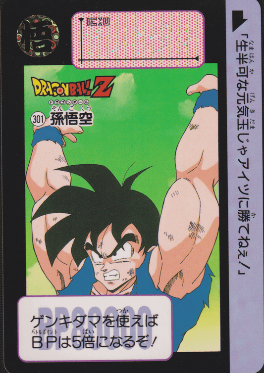 Goku No.301 | Carddass Hondan ChitoroShop