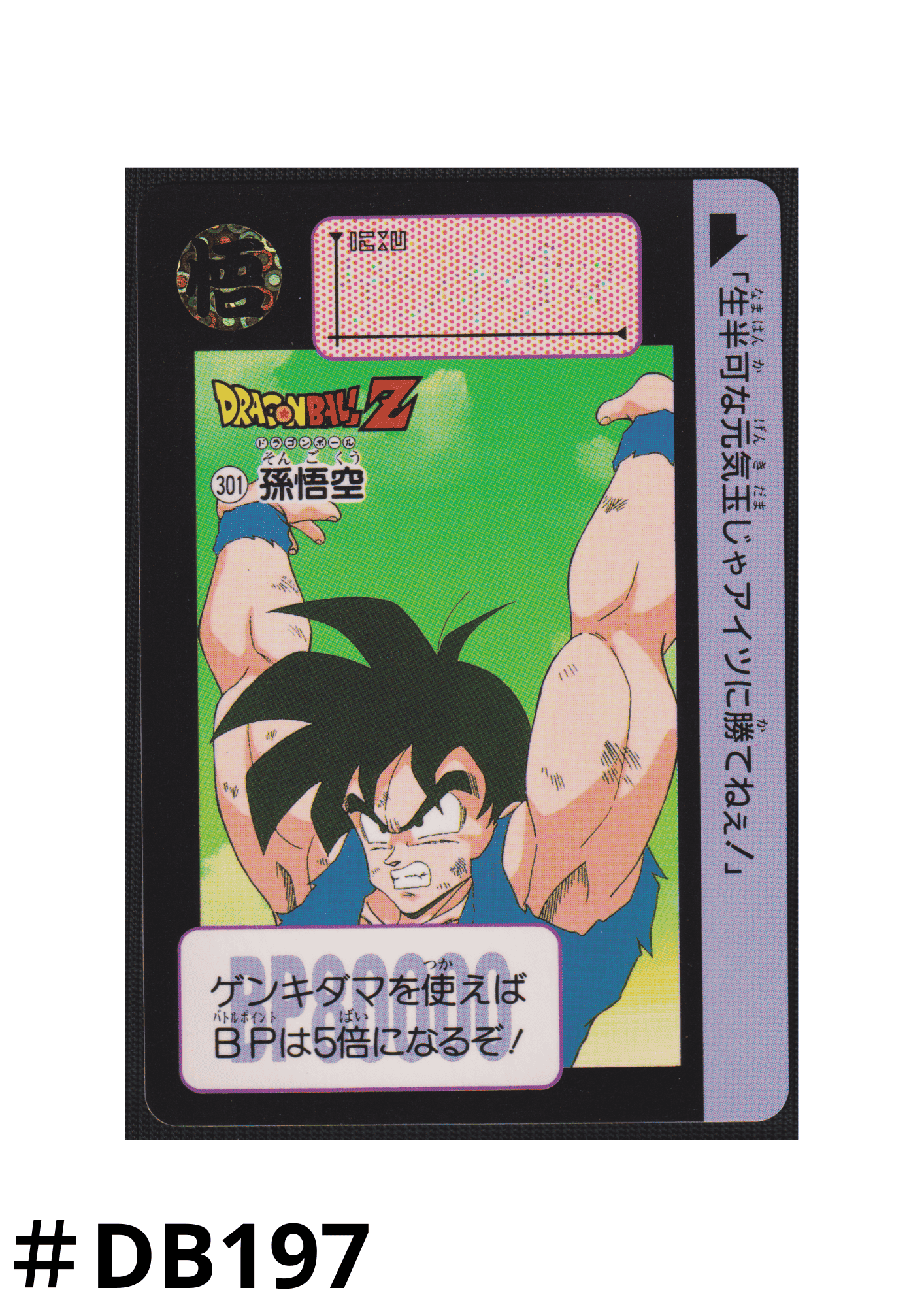 Goku No.301 | Carddass Hondan ChitoroShop