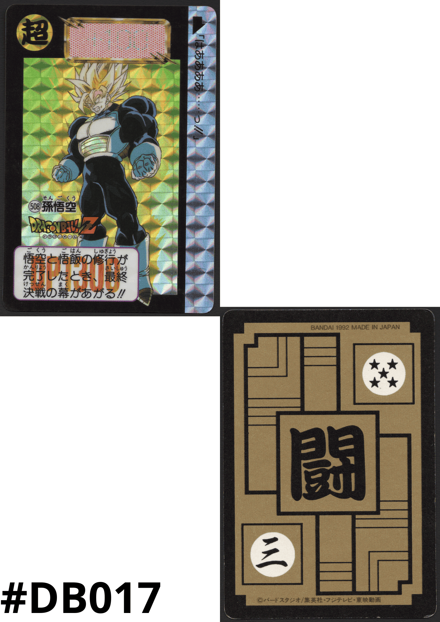 Goku No.508 | Carddass Hondan ChitoroShop