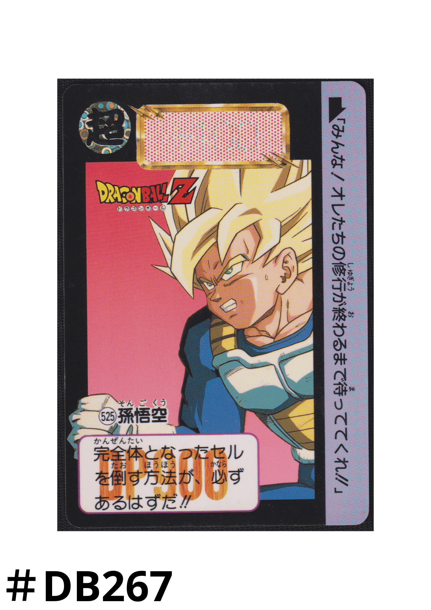 Goku No.525 | Carddass Hondan ChitoroShop