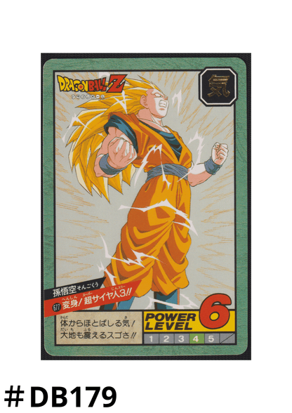 Goku Nr.677 | Carddass Super Battle ChitoroShop