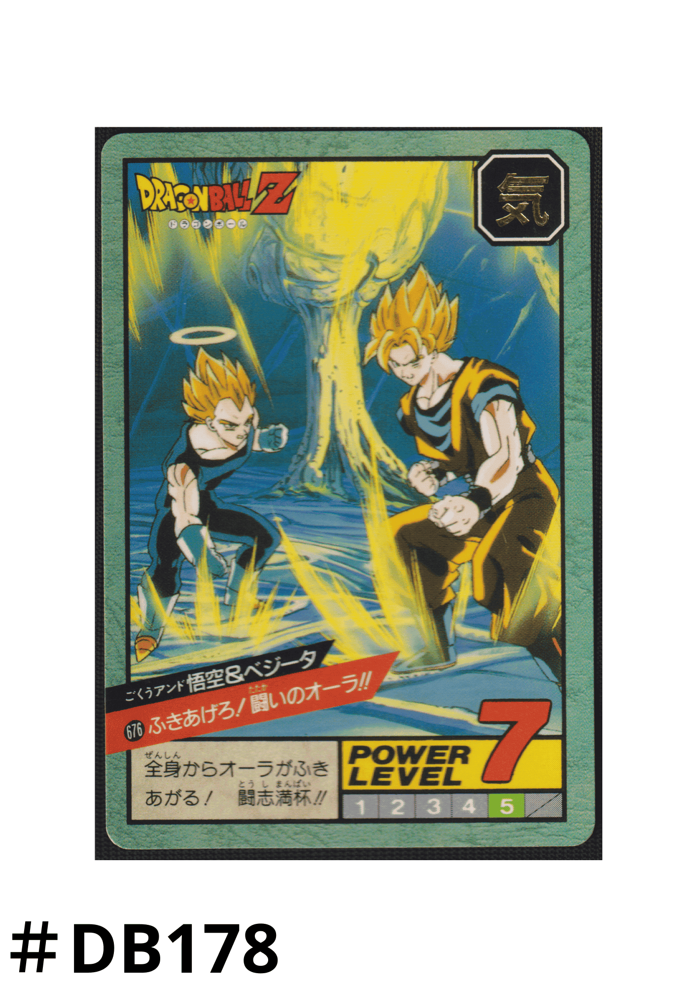 Goku & Vegeta No.676 | Carddass Super Battle ChitoroShop