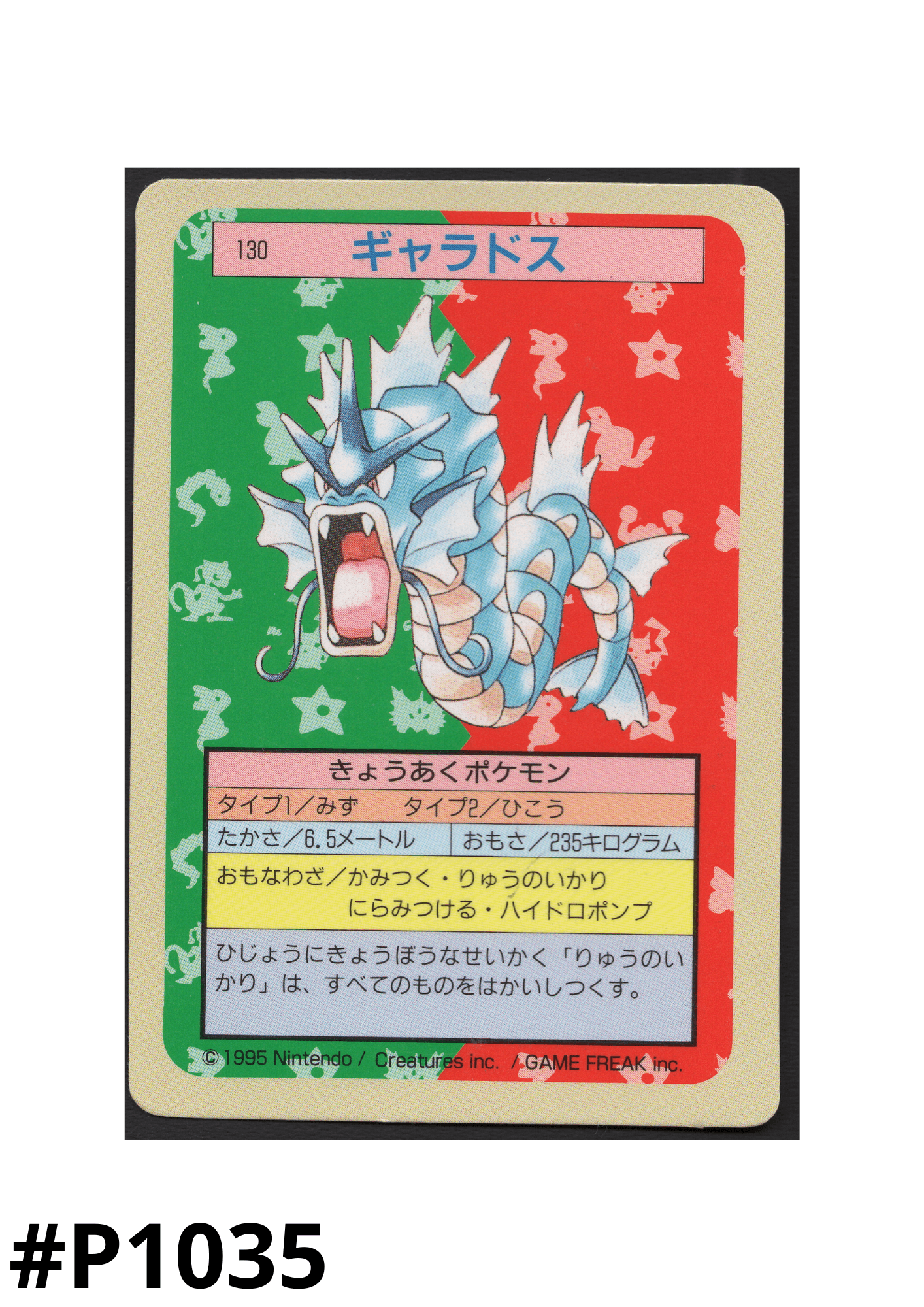 Gyarados No.130 | Pokémon Topsun ChitoroShop