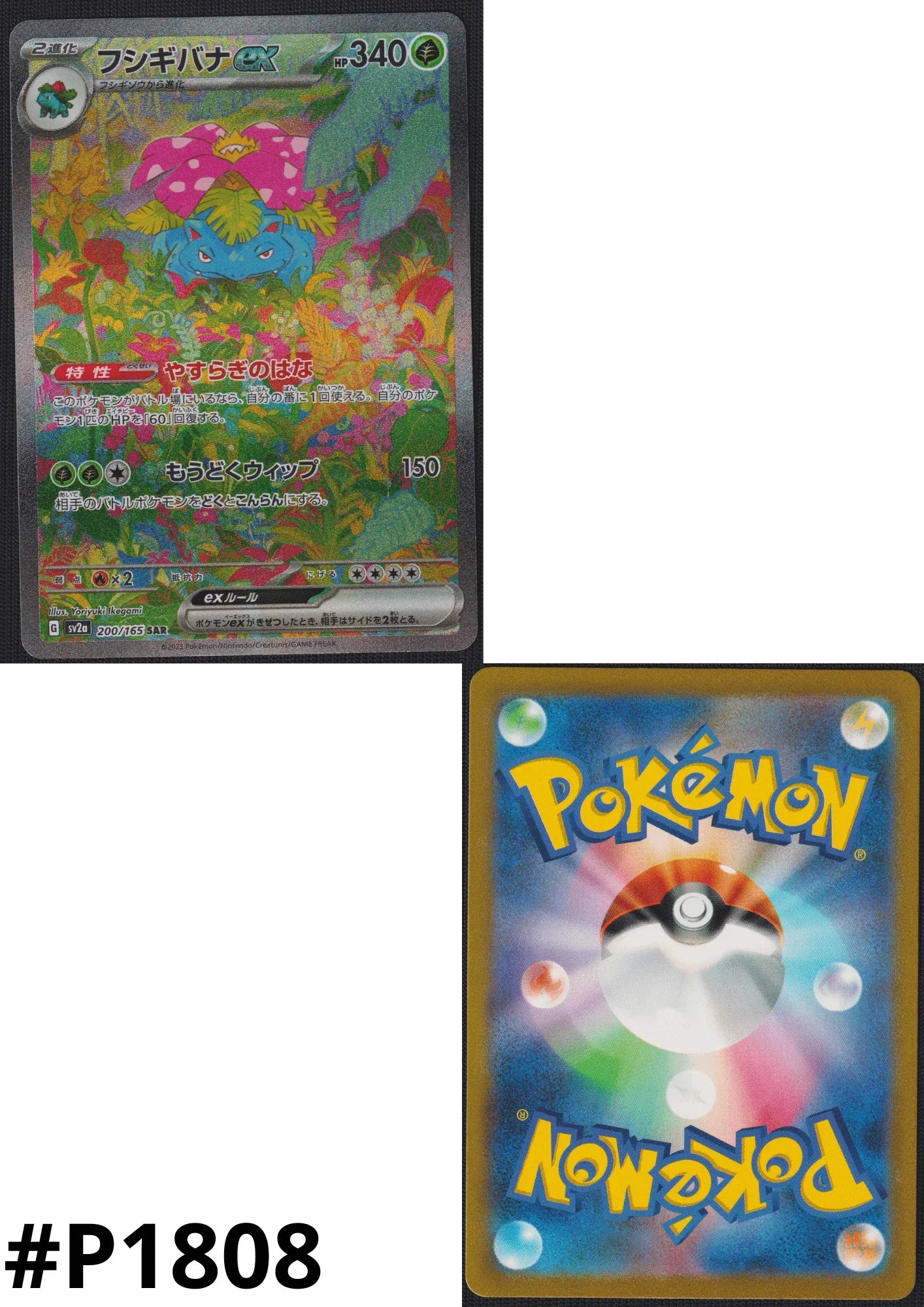 Venusaur ex 200/165 SAR | Pokmon 151 ChitoroShop Venusaur ex 200/165 SAR | Pokmon 151 ChitoroShop