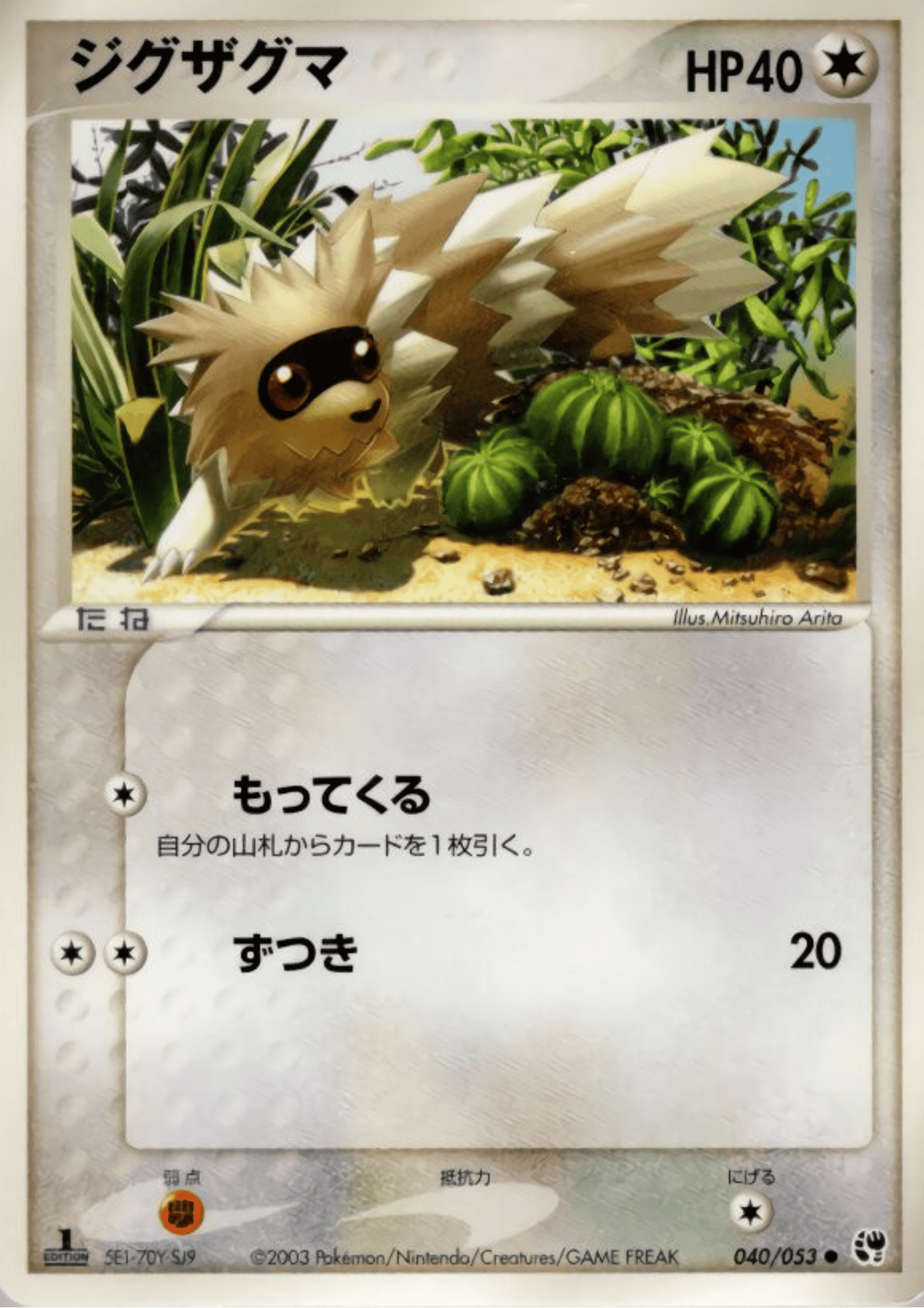 Zigzagoon 040/053 | Miracle of the Desert