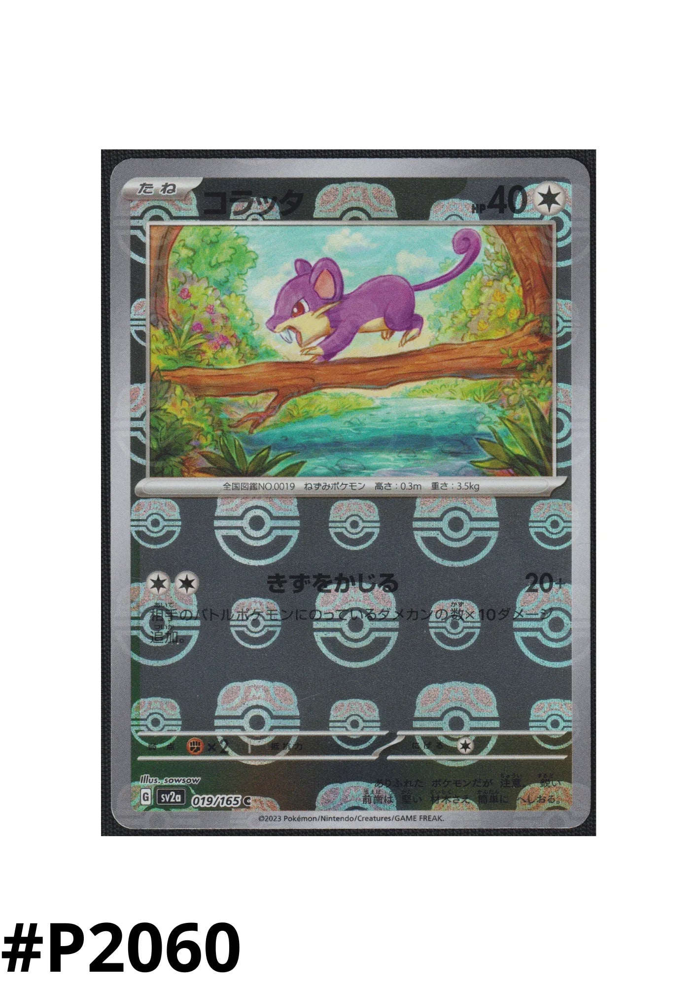 Rattata 019/165 C | Master Ball Mirror | Pokmon 151 ChitoroShop Rattata 019/165 C | Master Ball Mirror | Pokmon 151 ChitoroShop