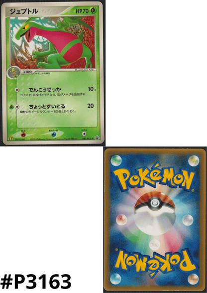 Grovyle 081/PCG-P | PCG Promo