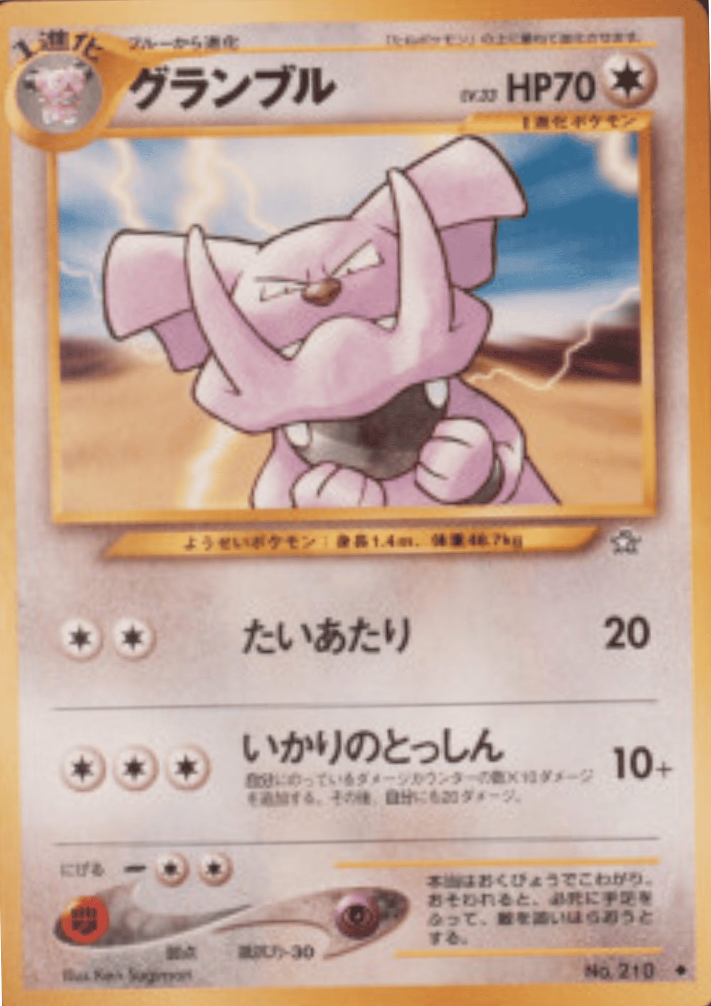 Granbull No.210 | Neo Genesis