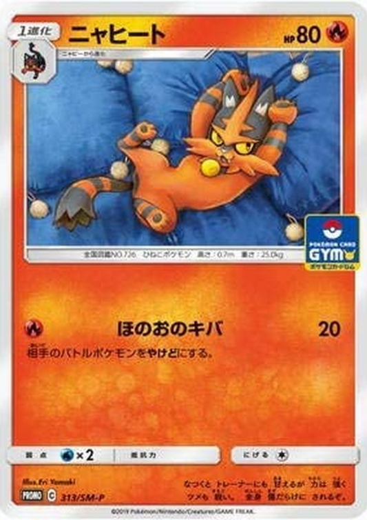 Torracat 313/SM-P | Promo