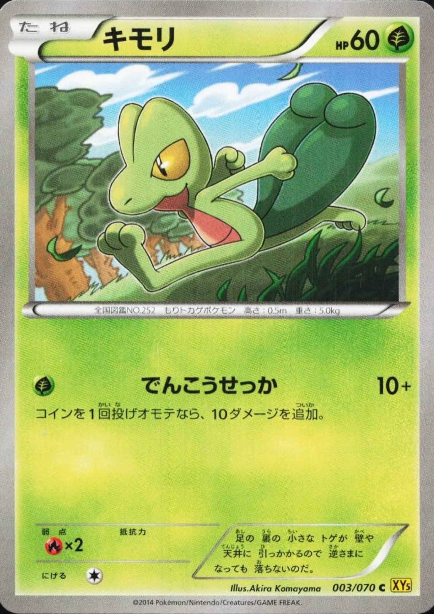 Treecko 003/070 C  | Gaia Volcano XY5