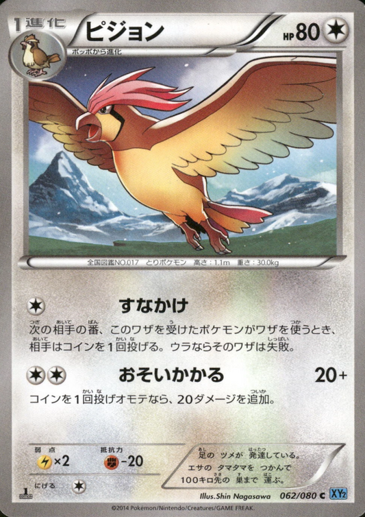 Pidgeotto 062/080 C | XY2 Wild Blaze