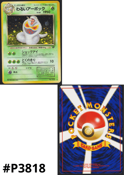 Dark Arbok No.024 | Rocket Gang