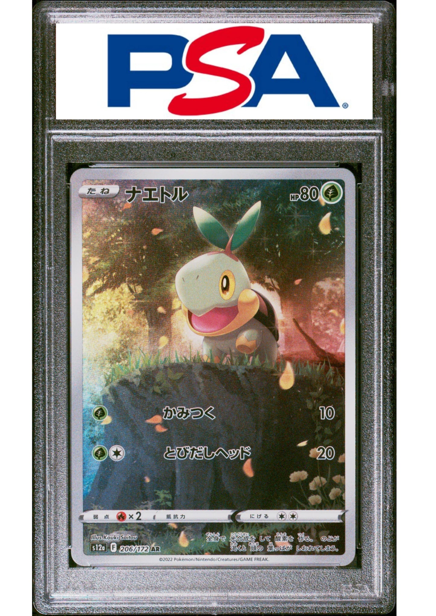 Turtwig 206/172 AR - S12a Vstar-universum | PSA - ChitoroShop