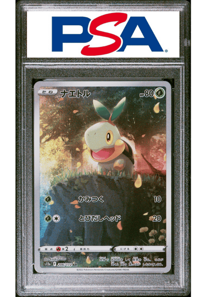 Turtwig 206/172 AR - S12a Vstar-universum | PSA