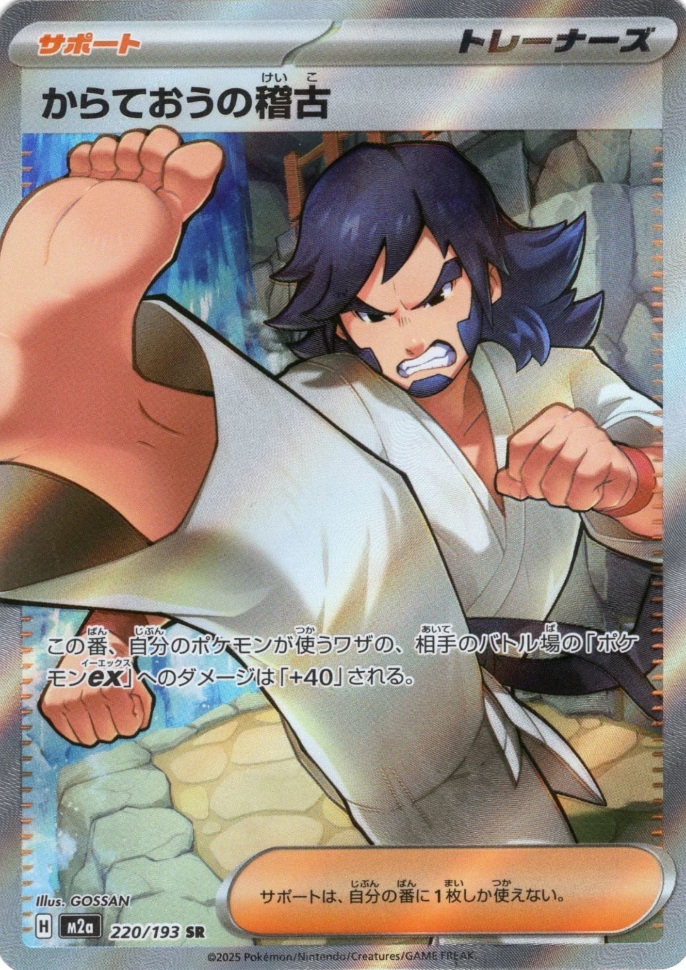 Black Belt's Training 220/193 SR | Mega Dream ex M2a