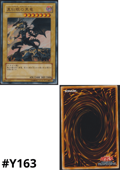 Red eyes black dragon | YAP1-JP002