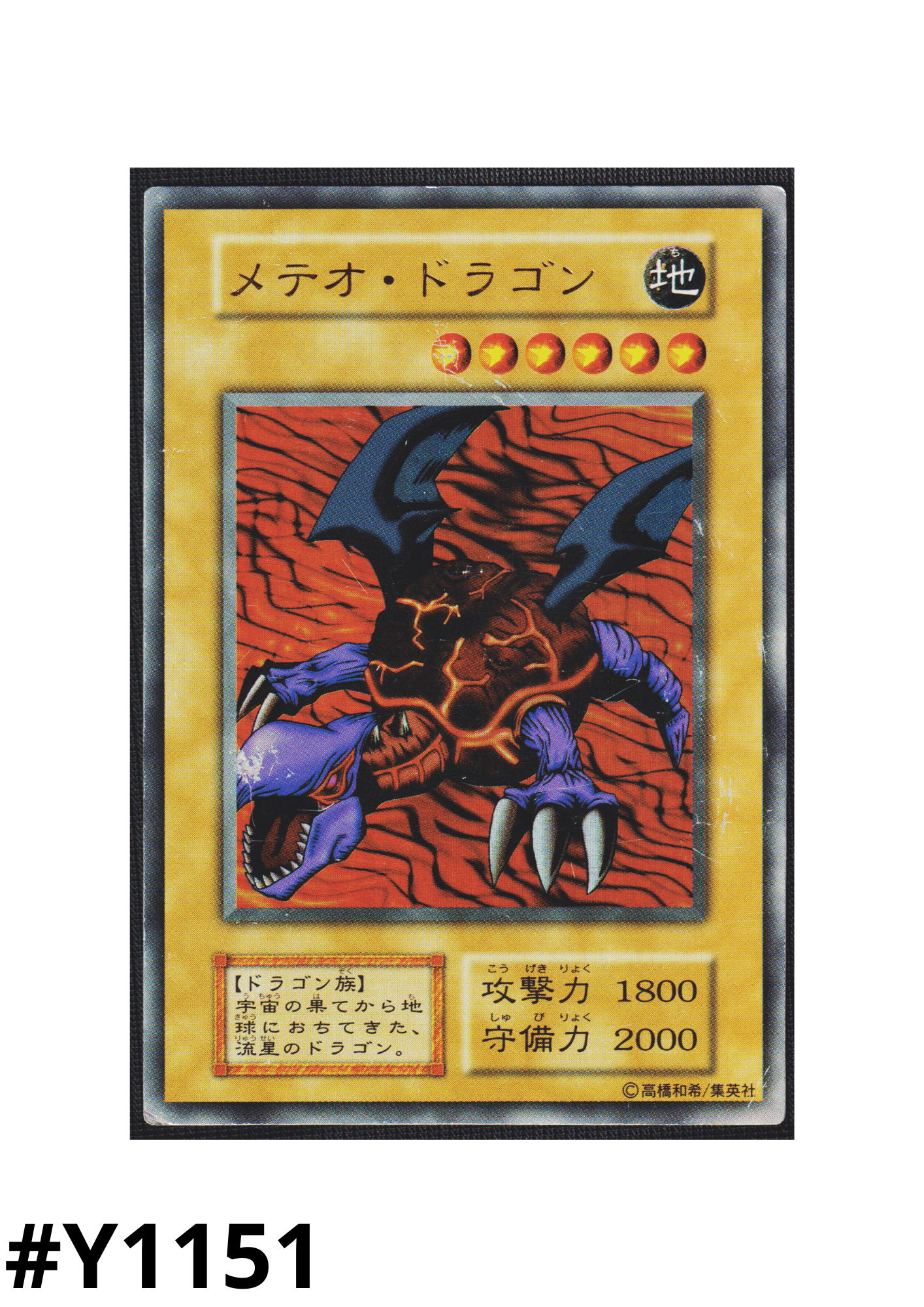Meteordrache | Premium-Paket