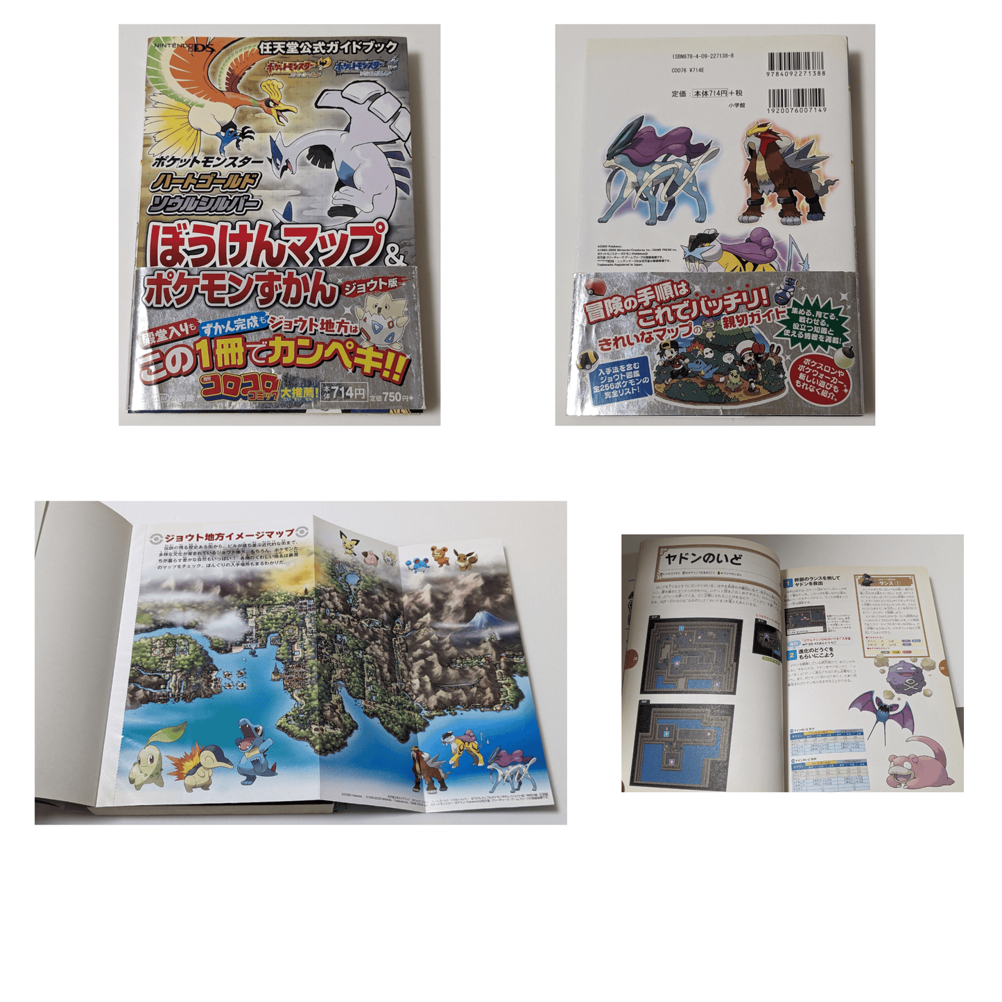 Capture book DS Pocket Monsters Heart Gold Soul Silver Zenko Kuzukan &  Boken Map Complete Edition, Book