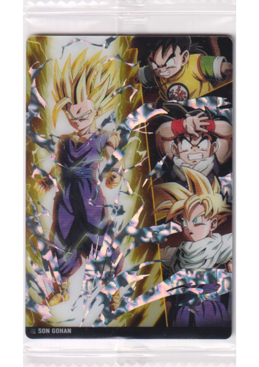 Son Gohan 8-17 SSR | Itajaga Dragon Ball Vol.8 - ChitoroShop