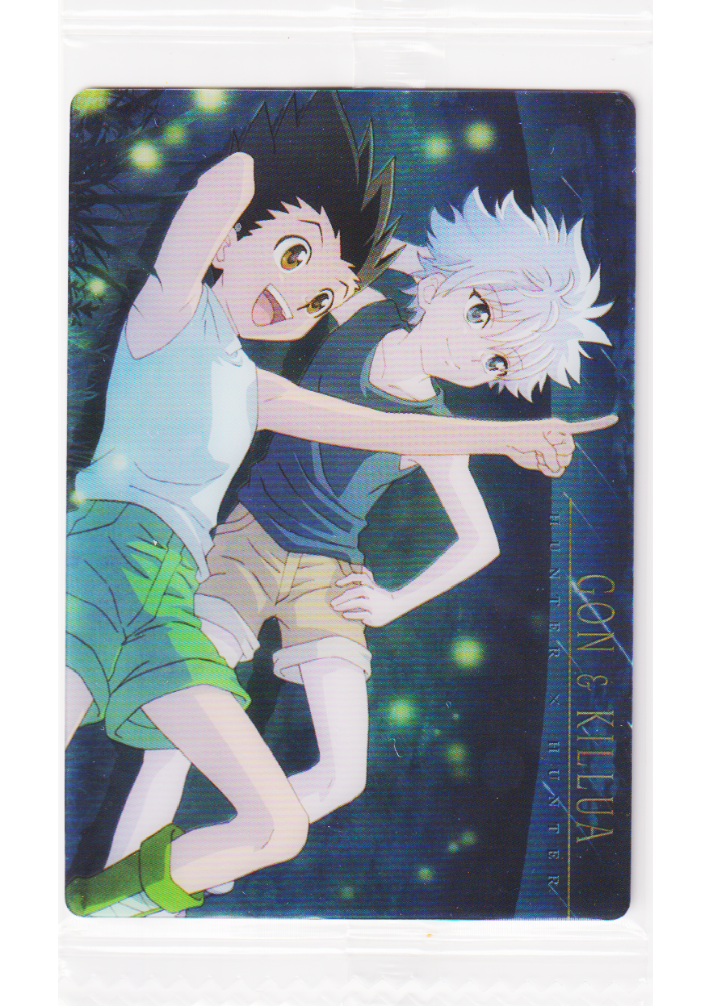 Gon & Killua 20 R | Hunter X Hunter Itajaga