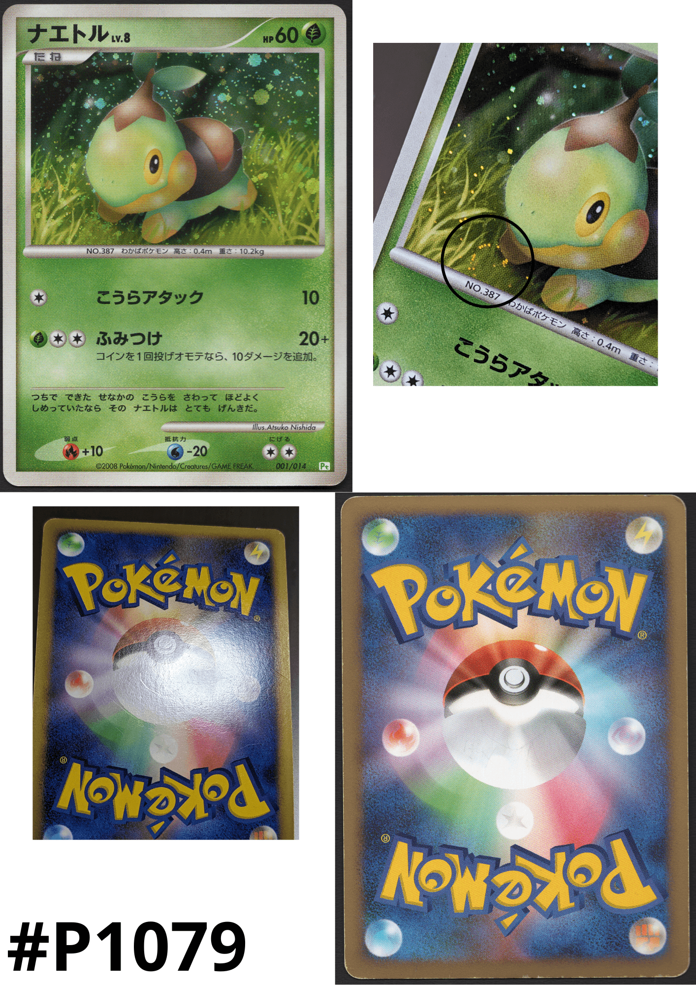 Turtwig 001/014 | Turtwig Half Deck