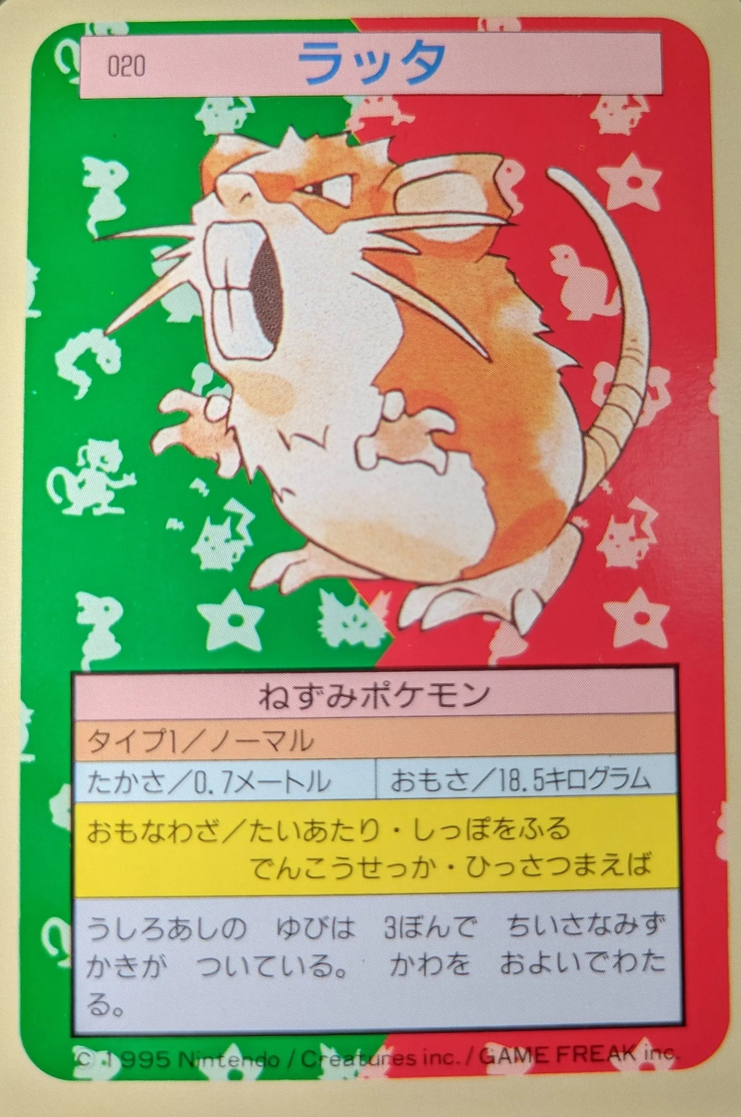 Raticate 020 | Topsun - ChitoroShop