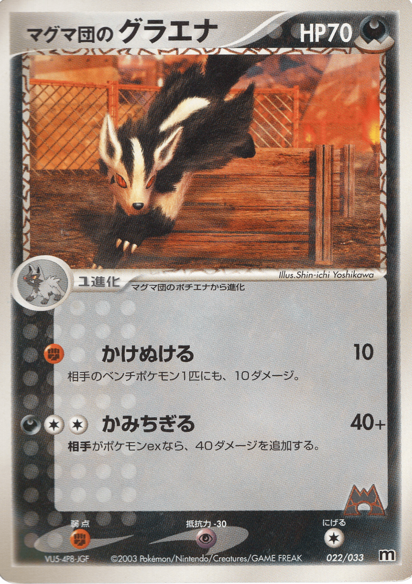 Team Magma's Mightyena 022/033 | ADV ChitoroShop