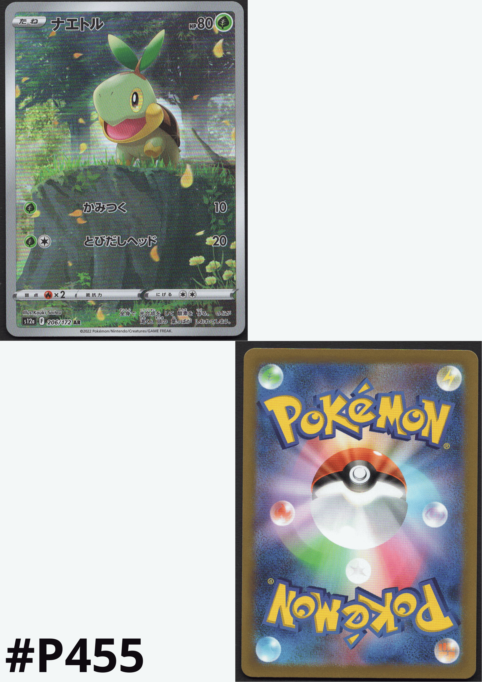 Turtwig 206/172 AR | Pokémon VSTAR Universe s12a ChitoroShop